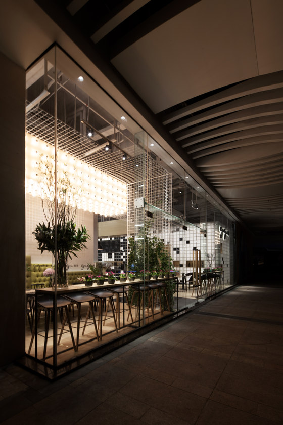 gaga���￧����