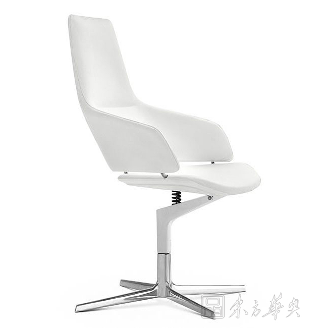 Modern Chair|Office Chair|Office Furniture||真皮休闲椅,大班椅,会议椅,休闲椅,职员椅 CG-Aston